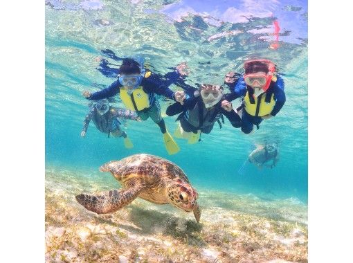 沖縄 宮古島 1組貸切制 ウミガメシュノーケリング ニモちゃんとサンゴも見れます アクティビティジャパン