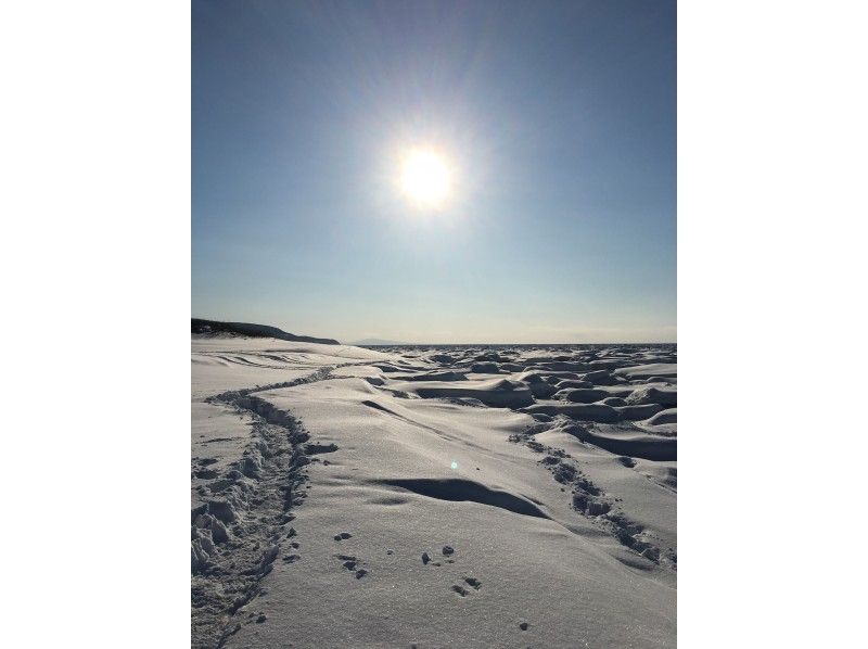 【北海道・知床】イクシナ海岸 流氷体験と知床博物館ツアー【無料送迎付】