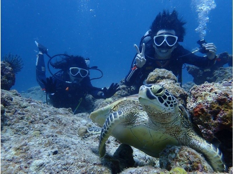 [Okinawa ・ Ishigaki] Experience Diving Two + snorkel! Resort at the blue sea Diving Have fun!の紹介画像