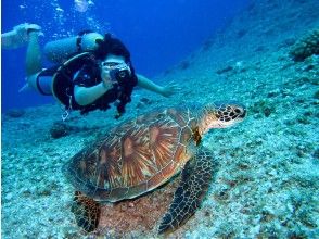 【ボートで行く　沖縄青の洞窟・貸切体験ダイビング】満足度97.2%！写真・動画・餌付体験も無料！