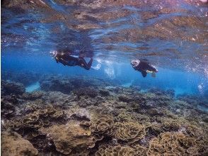 ぷくぷくの予約 アクセス 営業時間 アクティビティジャパン