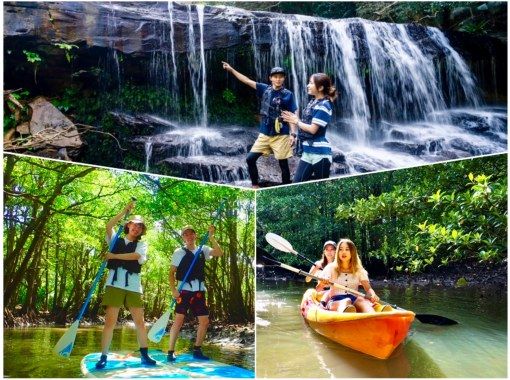 [Iriomote Island/Half-day] Head to "Sangara Falls"! Choose from SUP/Canoeing & Trekking on the World Heritage Site of Iriomote Island [Free photo data] Super Summer Sale 2024の画像