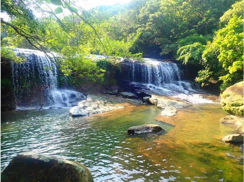 【沖縄・西表島】【半日】秘境・サンガラの滝を目指せ!選べるマングローブSUPorカヌーツアー!