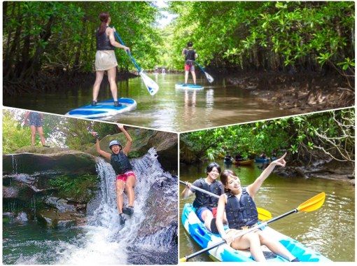[Iriomote Island/1 day] Paddle and jump into the perfect river to enjoy the World Heritage Site (SUP/canoe & canyoning) [free photo data] SALE!の画像
