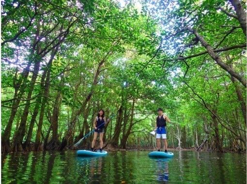 【沖縄・西表島】2022年最新:ツアー・体験・人気ランキング