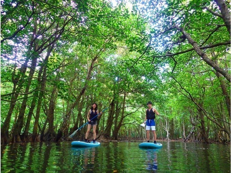 Popular Iriomote Island activity rankings & reviews of recommended tour companies!