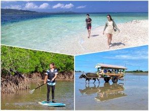 [Iriomote Island/1 day] Complete tour of 3 islands from Iriomote Island! Mangrove SUP/canoeing & landing on Barasu Island & sightseeing on Yubu Island [free photos]