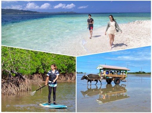 SALE! [Iriomote Island/1 day] Complete 3 island tour from Iriomote Island! Mangrove SUP/canoeing & landing on Barasu Island & sightseeing on Yubu Island [free photos]の画像