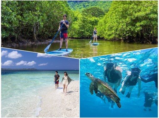 [Iriomote Island/1 day] World Heritage "Sea x River" 2 major classic courses (snorkeling & mangrove SUP or canoe) [Free photos] Super Summer Sale 2024の画像