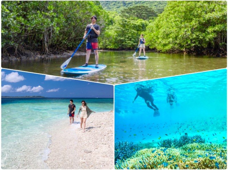 [Iriomote Island / 1 day] World Heritage "Sea x River" 2 major standard courses (snorkeling & SUP or canoe) [Regional coupon applicable] Autumn sale underway!の紹介画像