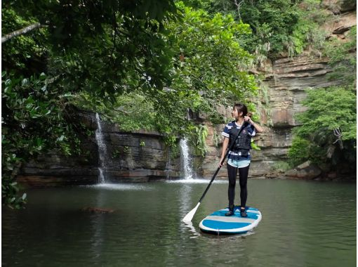 [Iriomote Island/Half-day] Head to "Mizuochi Falls"! Choose from mangrove SUP or canoeing on the World Heritage site of Iriomote Island [Free photo data]の画像