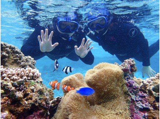 [西表岛/半天]世界遗产的水下冒险！热带浮潜【免费照片资料/装备租赁】2024年超级夏季促销の画像