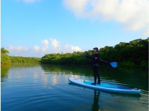 沖縄 石垣島 地域共通クーポンok 半日 大自然マングローブで選べるsuporカヌーツアー 写真データ無料 アクティビティジャパン 沖縄 石垣島 地域共通クーポンok 半日 大自然マングローブで選べるsuporカヌーツアー 写真データ無料 アクティビティジャパン