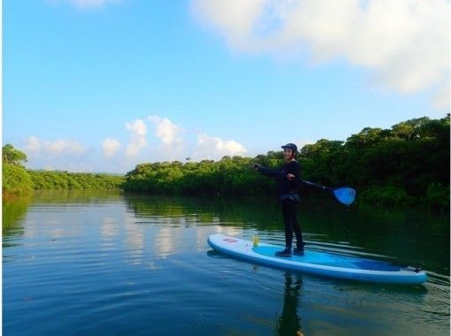 沖縄 石垣島 地域共通クーポンok 半日 大自然マングローブで選べるsuporカヌーツアー 写真データ無料 アクティビティジャパン