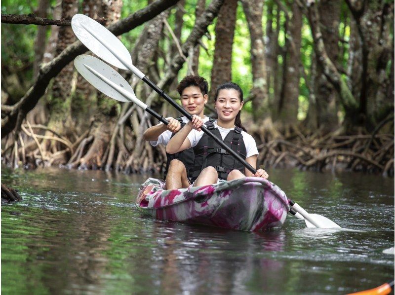 [Ishigaki Island/Half-day] Natural Monument! Choose from SUP or canoe cruising in the mangroves ★ Free pick-up/drop-off/photo data/equipment rental [Student discount plan]の紹介画像