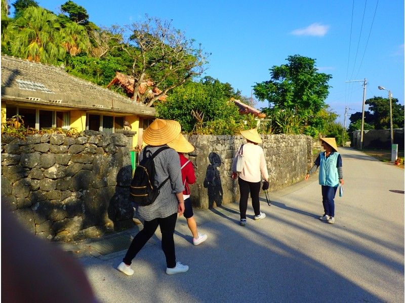 [Okinawa Ginoza] Relax with a local guide. Meager Cave & Surrounding Historic Sitesの紹介画像