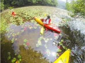 【鳥取・浦富海岸】四季を楽しむ！砂丘のオアシス「多鯰ケ池」カヤック体験♪の画像