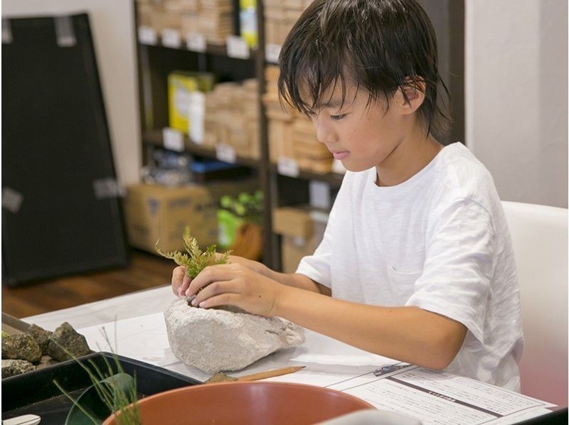 [Kanagawa / Kamakura] Hand-held mini bonsai experience! 3 minute walk from Tsuruoka Hachimangu Shrine! !の紹介画像