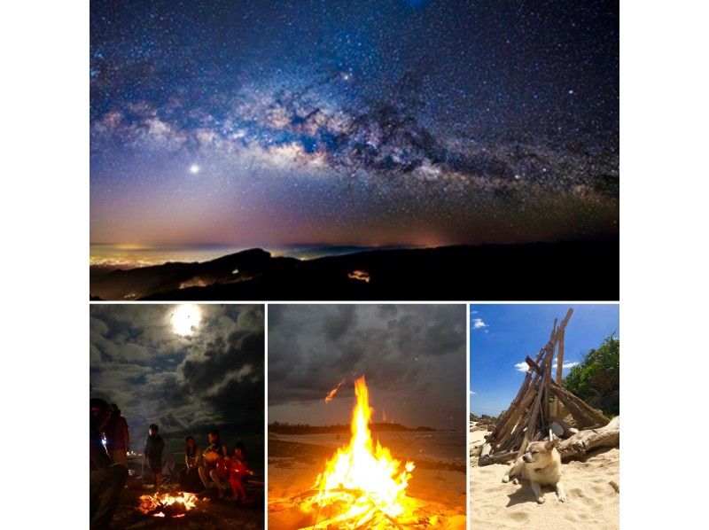 星降る夜の海と焚き火パーティーのツアー
