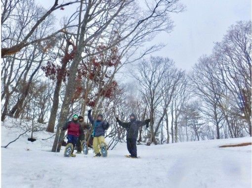 [滋贺·高岛】雪上徒步半天@函馆山滑雪胜地の画像