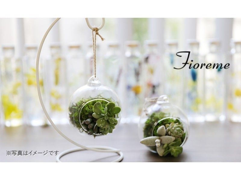 【東京・中央区】SNSでも大人気!緑のインテリア 苔玉orテラリウムの製作体験【22534】