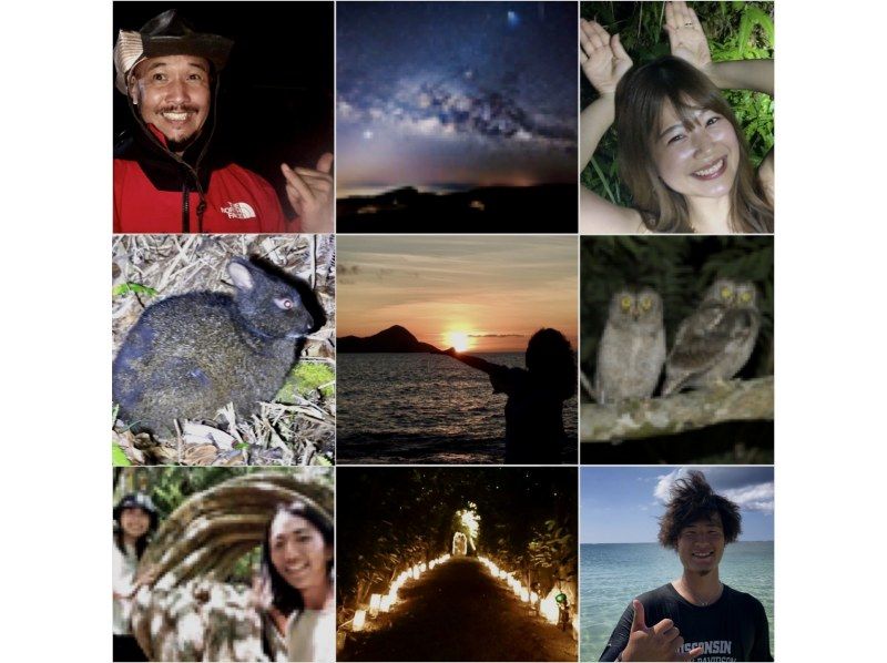 [Kagoshima / Amami Oshima] [World Natural Heritage] Mysterious Forest Black Rabbit Night Tour!