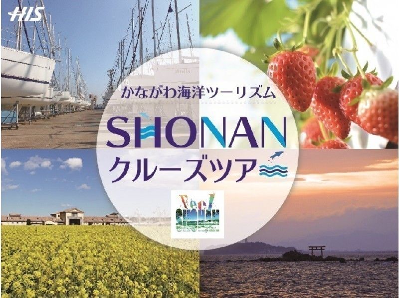 【湘南】SHONANエリアで一足先に春を感じよう!いちご狩りと菜の花 カラフル★カメラ講座ツアー