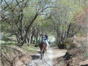 【山梨・八ヶ岳】充実の乗馬日帰りプラン　　馬場レッスン＋森林浴トレッキングの画像