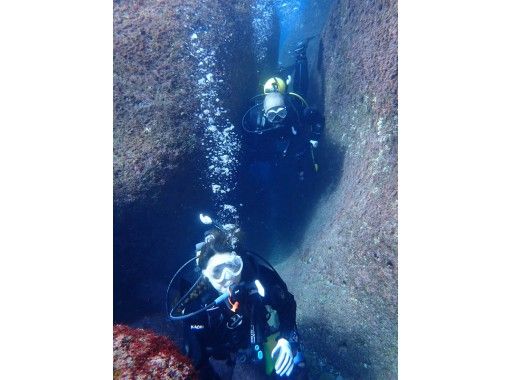 [West Izu] Cave exploration 2 boat fun diving (license required)! Pick-up available from Numazu Station and Izu Nagaoka inns ♪の画像