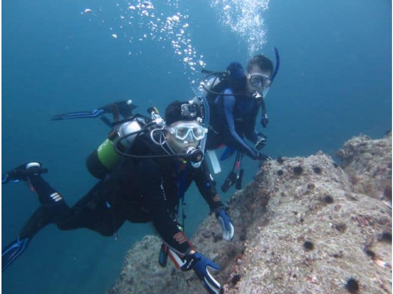 【北海道・積丹】安心のシュノーケリング講習つき体験ダイビング♪