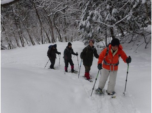 【滋賀・湖西】お気軽Snow Treck～フカフカの雪の上を歩いてみよう～（初めて編・レンタル込み）の画像