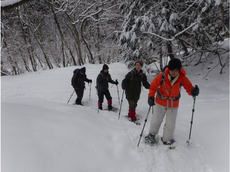 【滋賀・湖西】お気軽Snow Treck～フカフカの雪の上を歩いてみよう～（初めて編・レンタル込み）の紹介画像