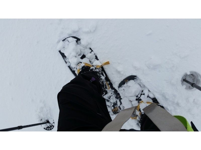 ãæ»è³ã»æ¹è¥¿ããæ°è»œSnow Treckïœãã«ãã«ã®éªã®äžãæ©ããŠã¿ããïœïŒåããŠç·šã»ã¬ã³ã¿ã«èŸŒã¿ïŒ