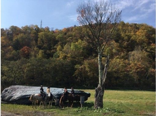 北海道の乗馬 ホーストレッキングの予約 日本旅行 オプショナルツアー アクティビティ 遊びの体験予約