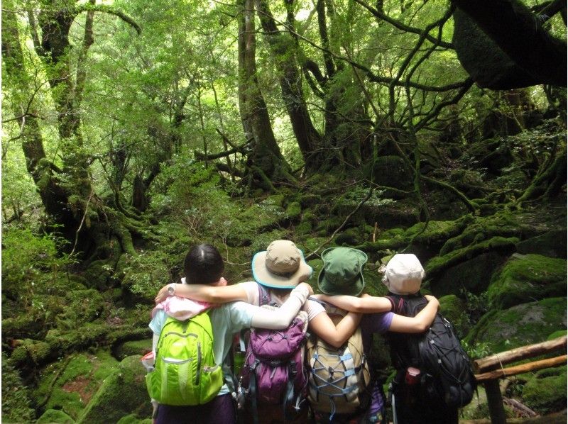 【鹿児島・屋久島】白谷雲水峡の「もののけの森」（苔むす森）を目指すツアー（半日ツアー）
