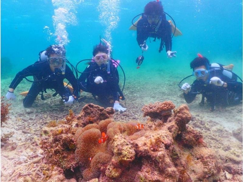 【沖縄・石垣島】★石西礁湖体験ダイビング 2時間プラン★少人数でアットホーム【11/1～4/1】