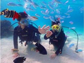 【沖縄・石垣島】☆１組限定☆半日コース・絶景！幻の島上陸＆体験ダイビング☆