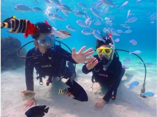 【沖縄・石垣島】☆１組限定☆半日コース・絶景！幻の島上陸＆体験ダイビング☆の画像