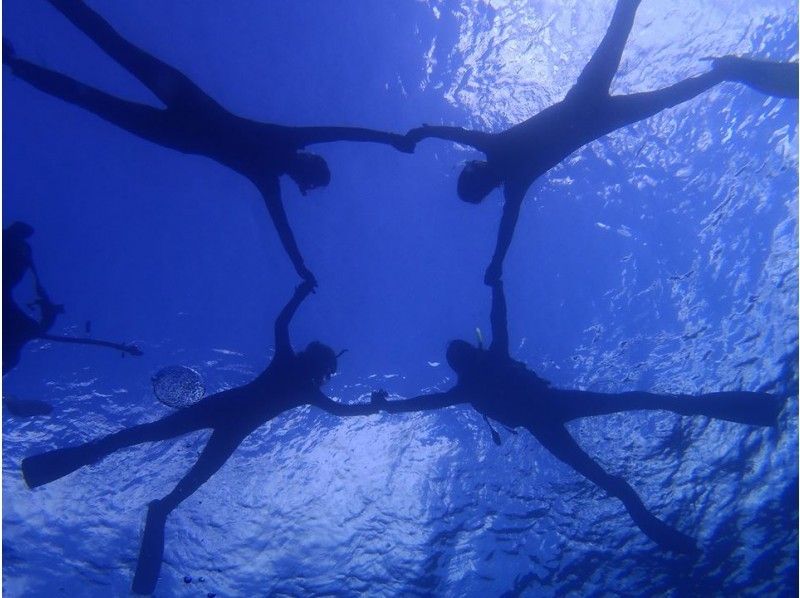 [冲绳Honjima蓝洞] 4人以上有限的蓝洞浮潜！ 1组特许！照片，动画随着免费礼物の紹介画像