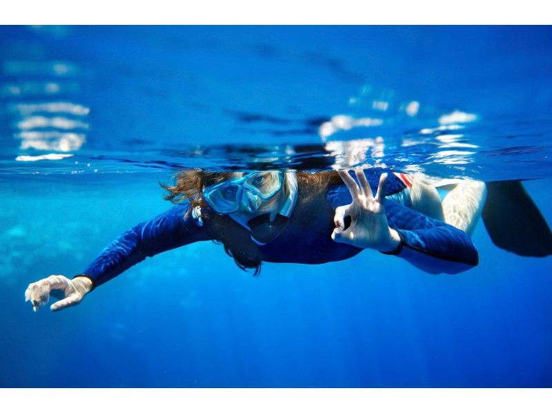 【東京発・神奈川県・三浦半島・城ヶ島】シュノーケリング