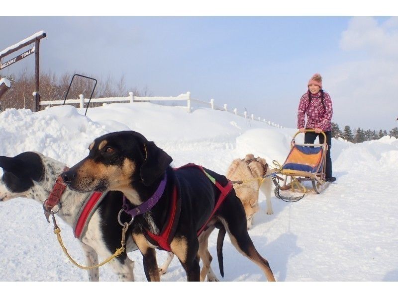 札幌郊外、犬ぞり・スノーシュー・ファットバイク・新日本三大夜景・温泉付、北海道の冬1日満喫プラン♬