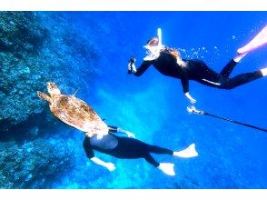 【沖縄・那覇発・慶良間諸島】・1日3か所周遊・写真サービス！本物の慶良間諸島スノーケリング★1月～3月はホエールウォッチングサービス