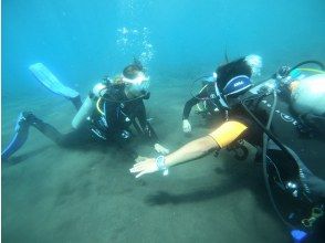「スーパーサマーセール実施中」まずは挑戦！気軽に体験ダイビング！！