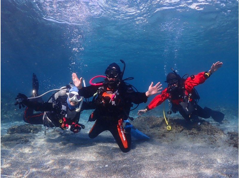 『ドライスーツ無料！渋谷から木、金、土曜日/送迎無料』体験ダイビングの紹介画像
