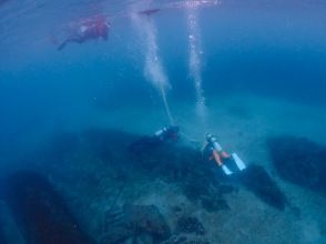 เซเว่นซีส์ โชนัน เมนสโตร์