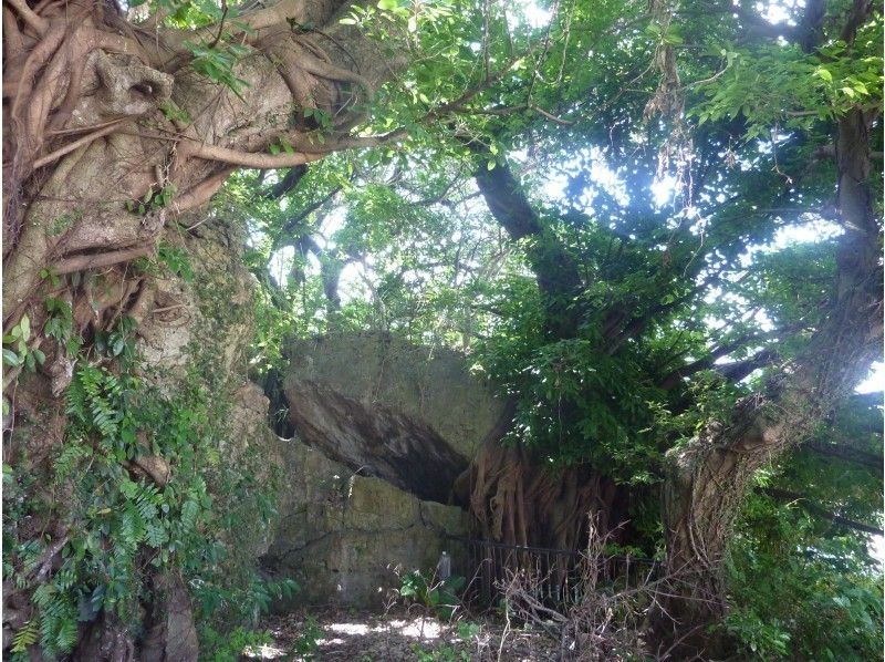 昔ながらの沖縄の光景が残る糸満旧市街地パワースポット＆路地裏探検巡り