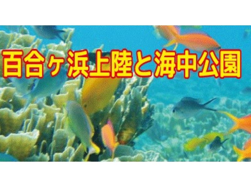 鹿児島 与論島 百合ヶ浜と海中公園 熱帯魚 ツアー 与論島観光大使のインストラクターが与論島の海をご案内 アクティビティジャパン