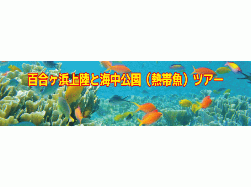 【鹿児島・与論島】百合ヶ浜と海中公園(熱帯魚)ツアー