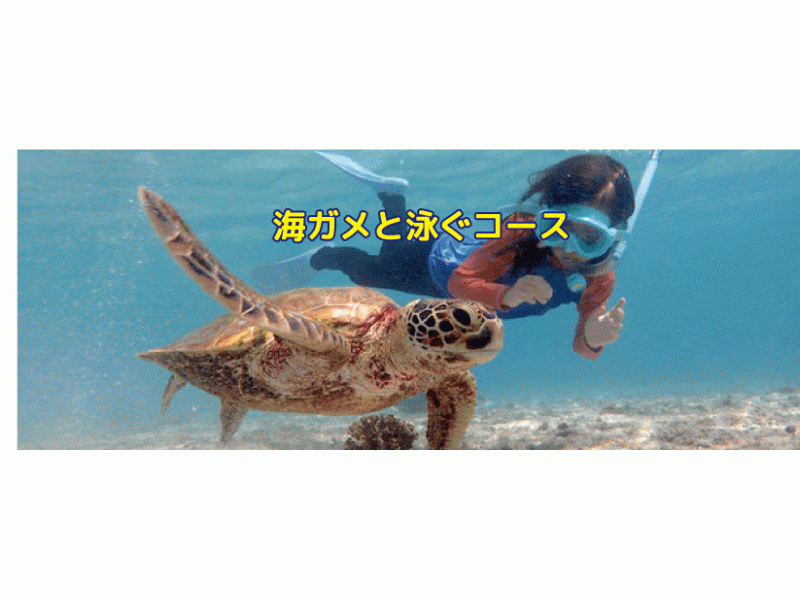 【鹿児島・与論島】海ガメと泳ぐコース