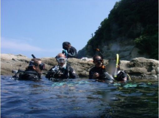 Trial experience diving (Kinosaki course)の画像